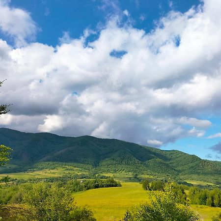"Бджілка" І " Садиба Для Відпочинку" Lyuta Esterno foto